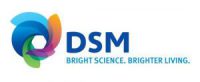 Logo DSM. Slaapworkshop, slaaplezing, slaapcollege, slaapcursus Rob de Ron.