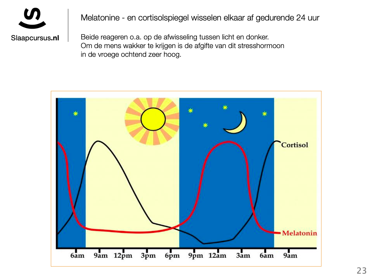 De afgifte van melatonine stijgt aan he begin van de avond, bij het invallen van de duisternis, het cortisol niveau stijgt juist aan het begin van de dag.